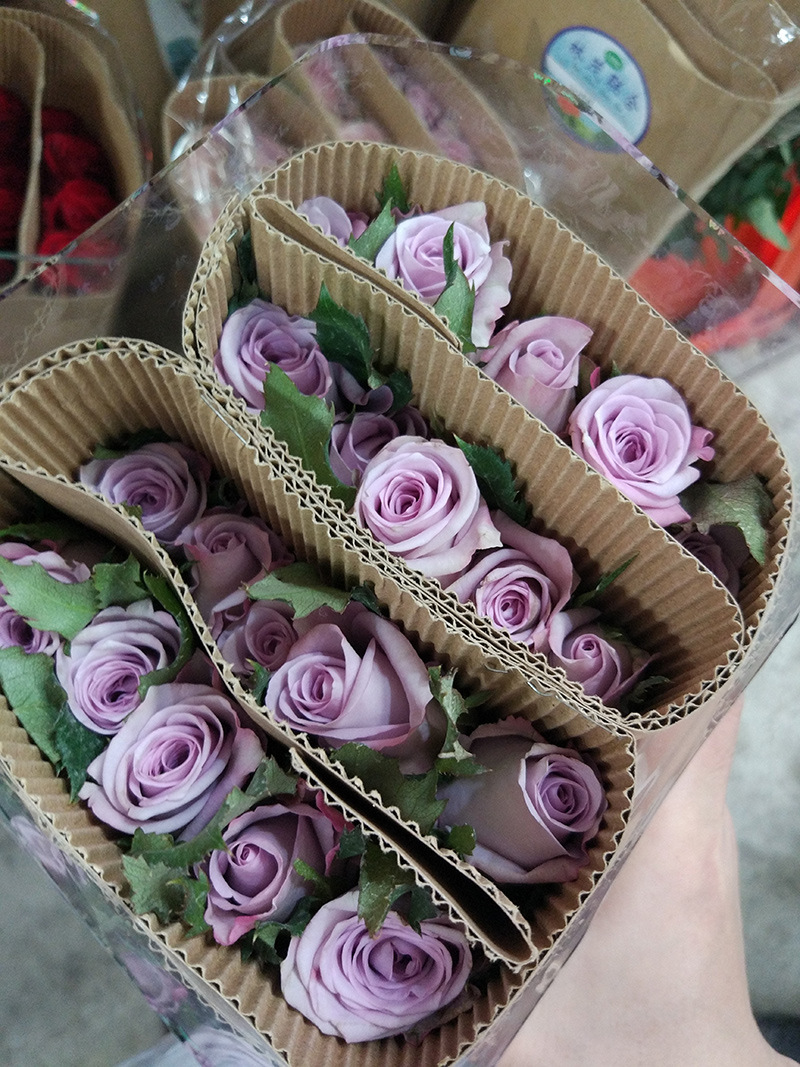 Song of the sea roses kunming lilac wedding bouquet roses wholesale 20 / bundle