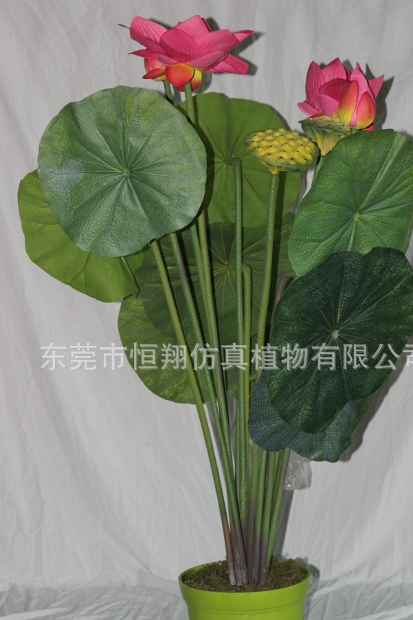 A large number of supply lotus artificial hand lotus artificial flower arrangement artificial dry flowers fake flowers