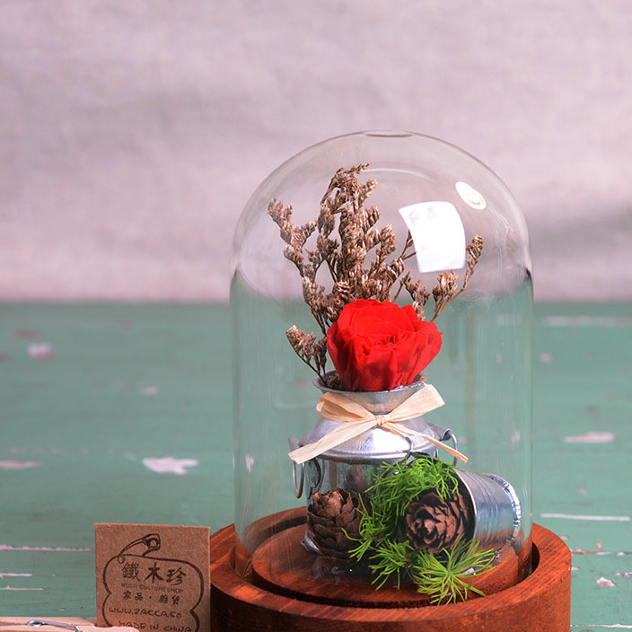 Valentine's day ZAKKA European style home simulation flower art potted gift dry flower eternal flower glass greenhouse decoration