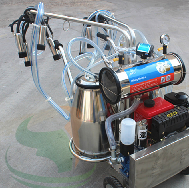 Manufacturers of direct sales vacuum pulsating milking machine diesel engine powered cattle with sheep milking pump